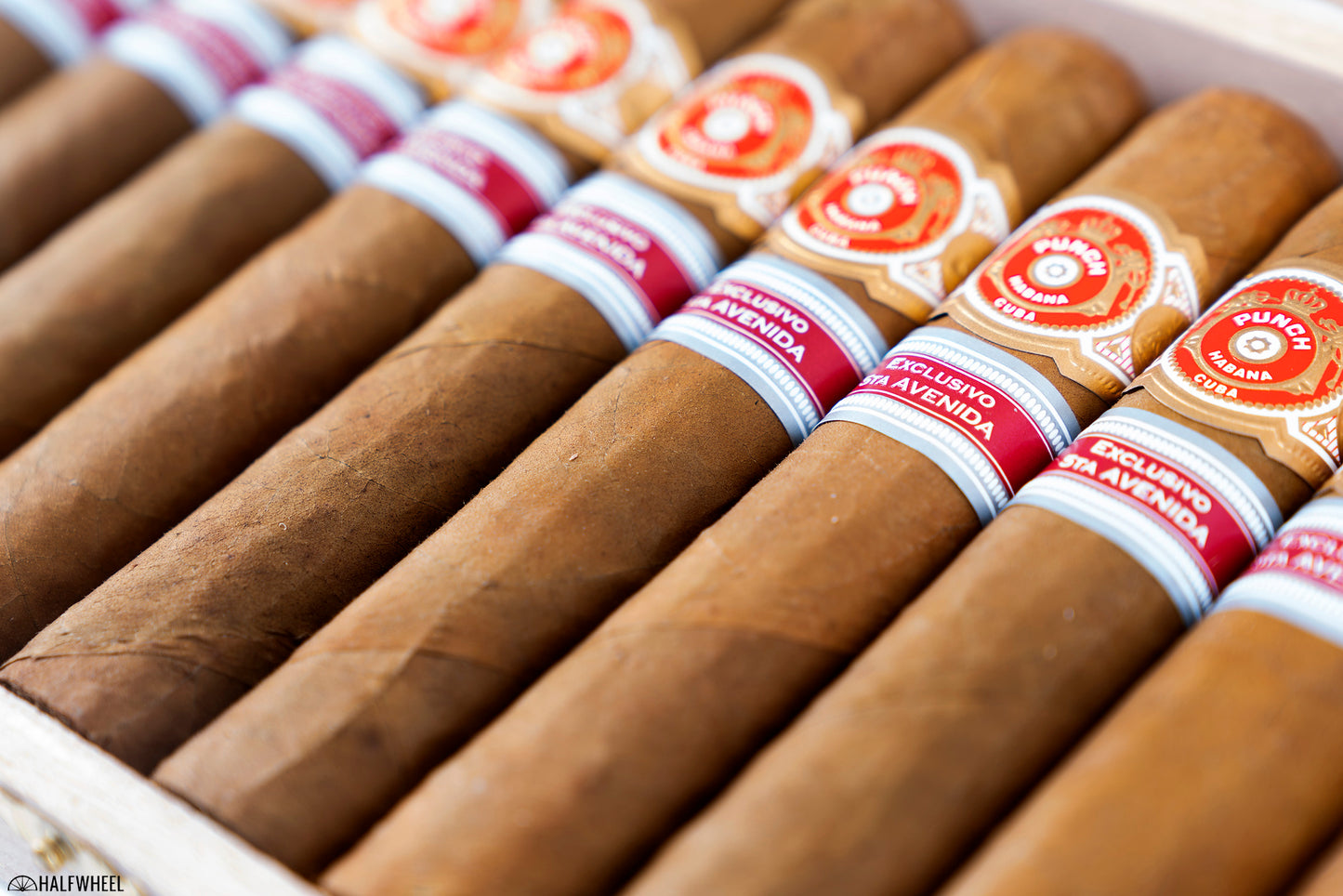 PUNCH PREFERIDOS CIGAR (EX. 5TA AVENIDA 2018)